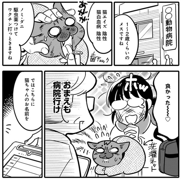 1~2歳くらいのメスですね