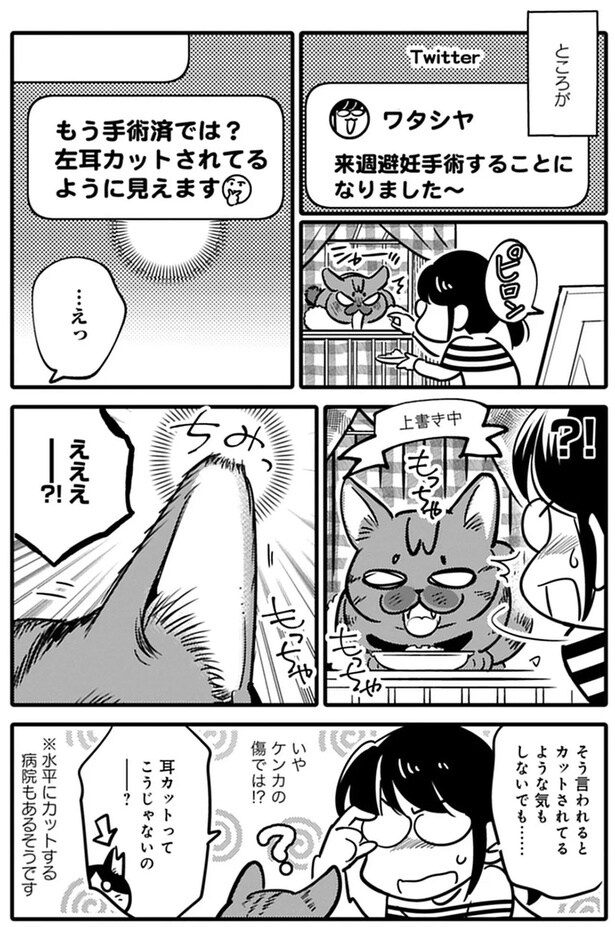 そう言われるとカットされてるような気もしないでも......