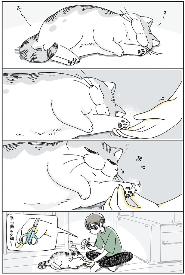 眠いうちにツメ切り