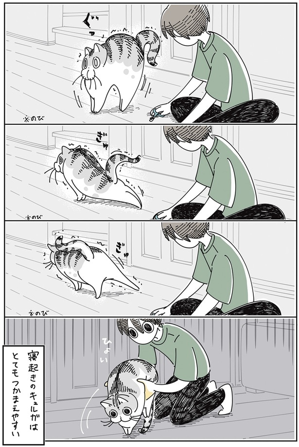 寝起きはつかまえやすい