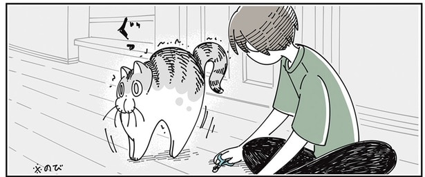 爪切りがしやすいタイミングは? 伸びを繰り返す猫の寝起きを狙ってみた