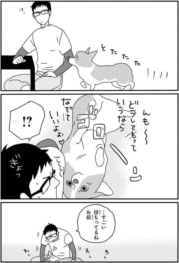 …すごい技もってるね　お前