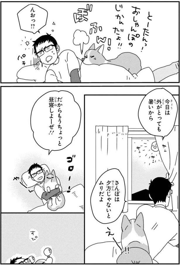 さんぽは夕方じゃないとムリだよ