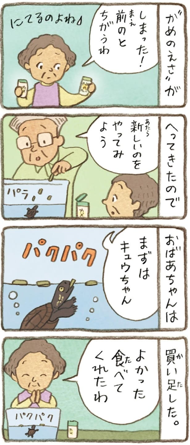 しまった！前のとちがうわ