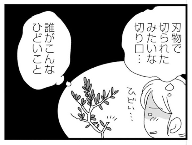 玄関先の靴がなくなり、観葉植物の枝は切られ…新居で不快な出来事が続いて／腐りゆく家族（4）