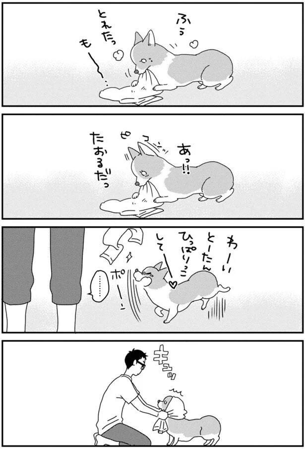 わーい　とーたん　ひっぱりっこしてー