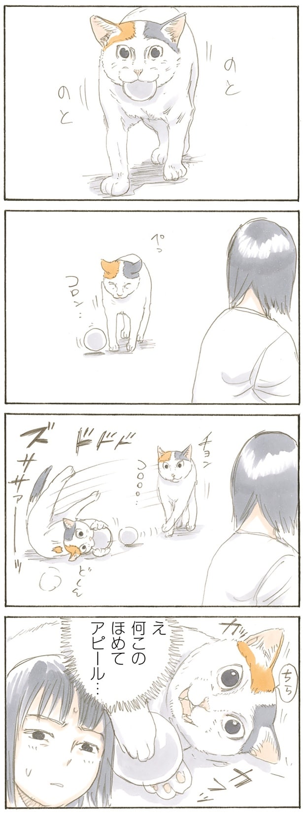 何このほめてアピール