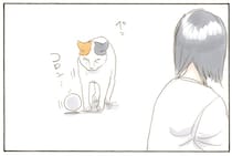 コロコロ、ちらちら。飼い主の前にボールを持ってきて遊び出す猫の目的は