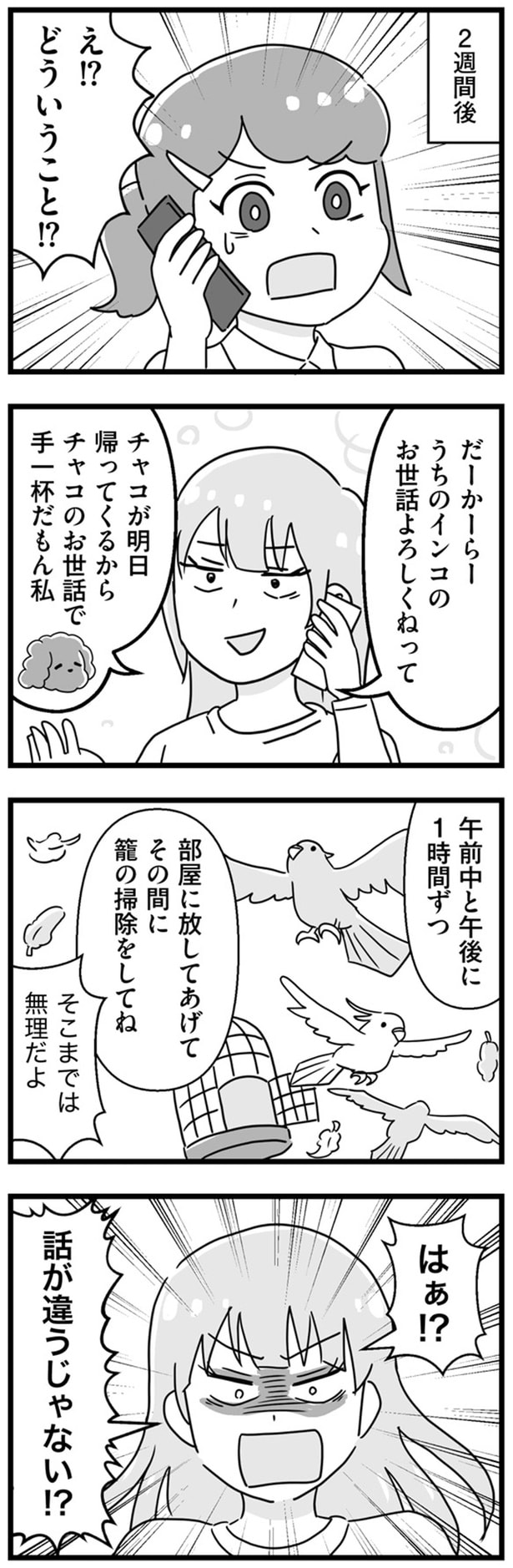 話が違うじゃない!?