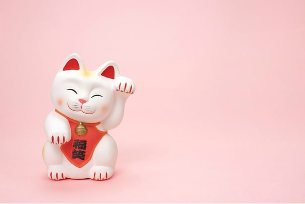 琉球風水志シウマさんに聞いた！2026年のラッキーカラーは？財布を替えるならこんな財布！