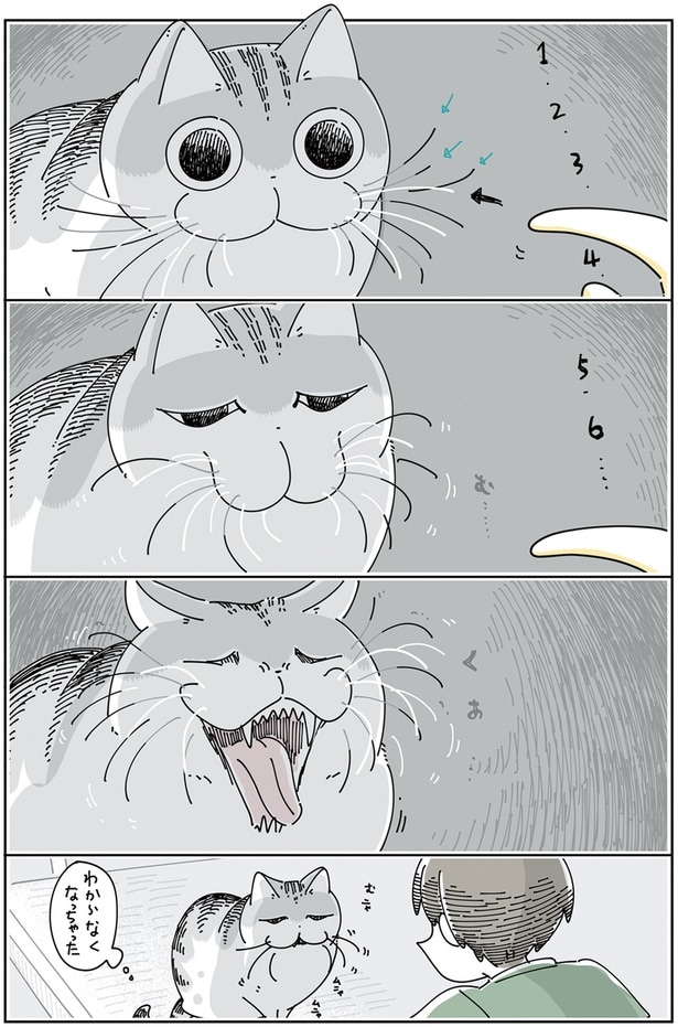 わからなくなっちゃった