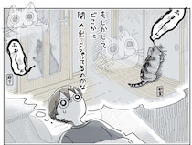 1階で鳴いている猫、もしかして締め出しちゃったかな!? 不安になる飼い主の夜