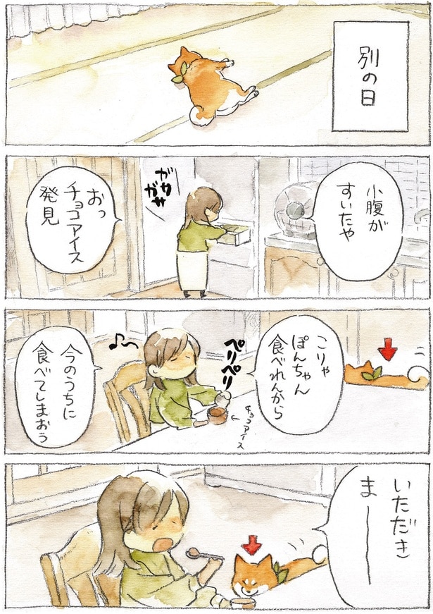 今のうちに食べてしまおう