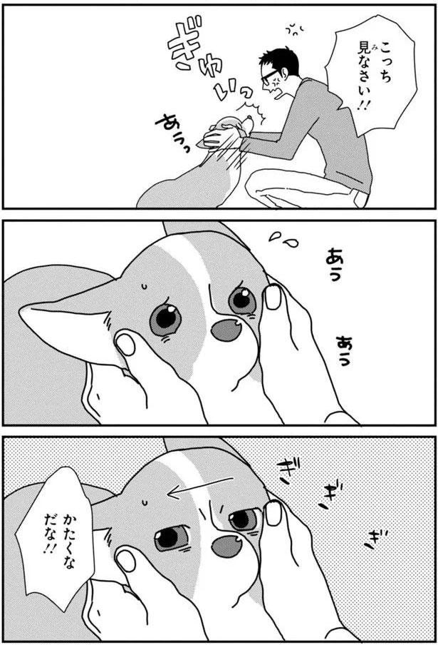 かたくなだな！！