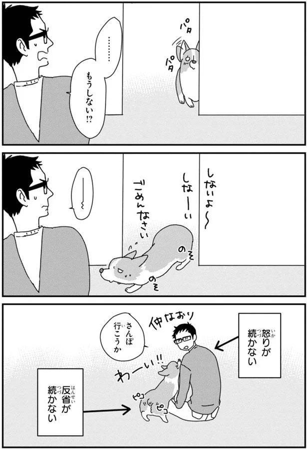 さんぽ行こうか