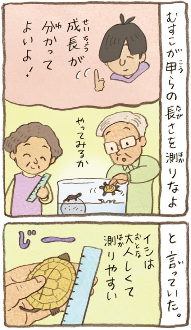 成長が分かってよいよ！