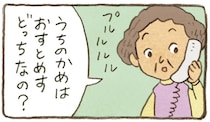 うちのかめは雄なの？雌なの？成長を見守る2人の疑問に息子が教えてくれたのは