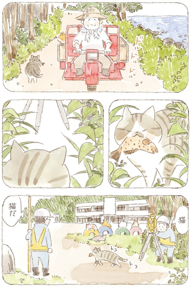 魚を咥えて歩く猫