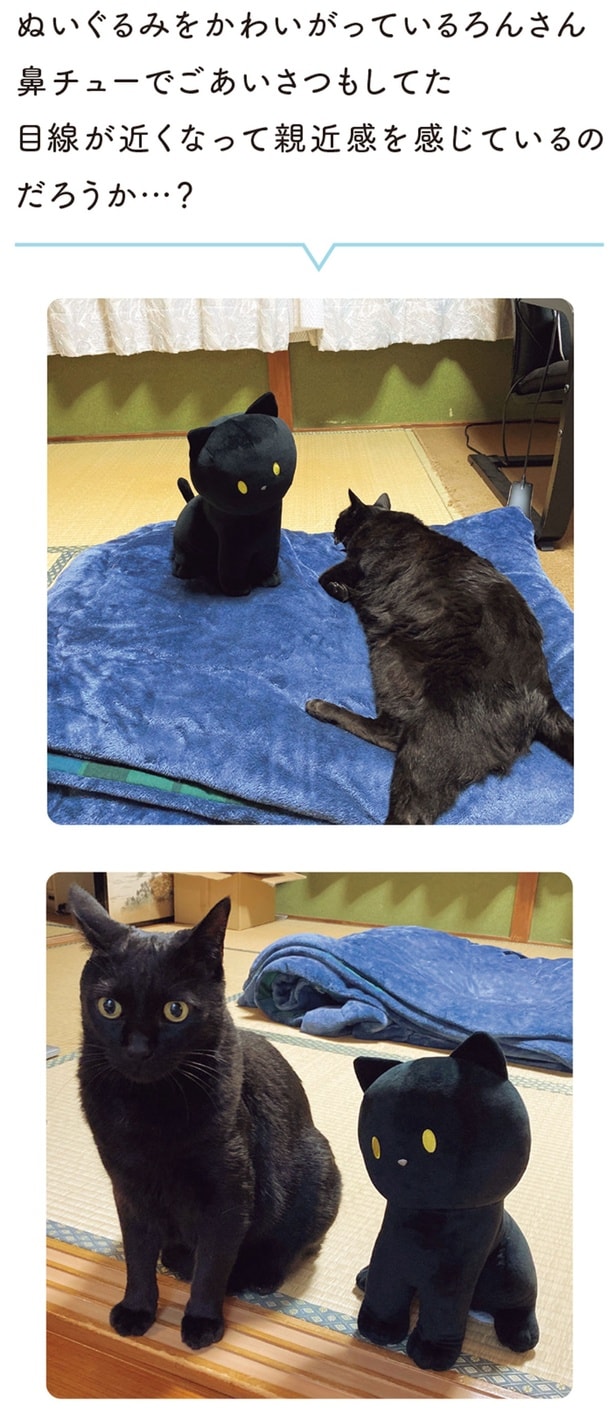 鼻チューでごあいさつもしてた