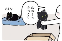 どんなリアクションかな？黒猫ろんそっくりのBIGぬいぐるみ