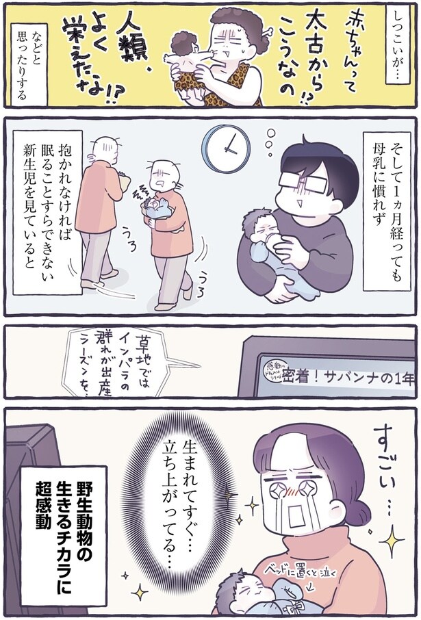 生まれてすぐ…立ち上がってる…