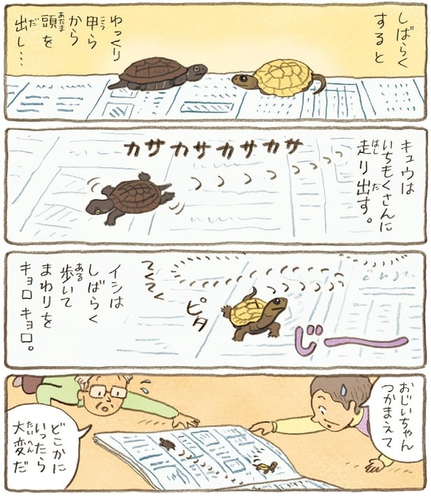 どこかにいったら大変だ