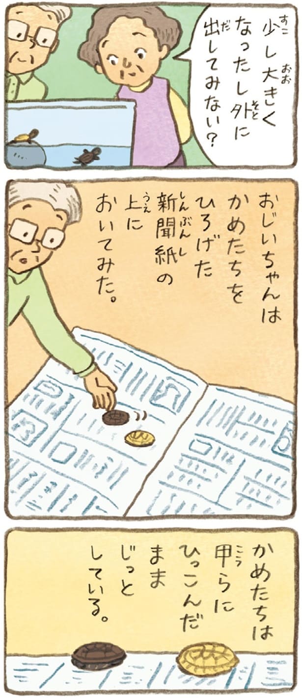 外に出してみない？