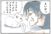 一番嬉しそうなのは母？ 子猫がやってきて外でのお酒の付き合いが減った父