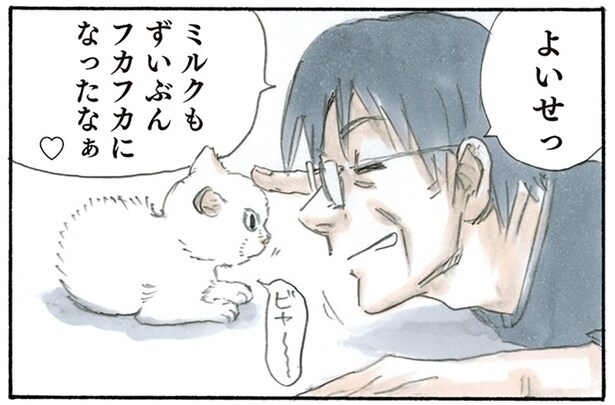 一番嬉しそうなのは母? 子猫がやってきて外でのお酒の付き合いが減った父