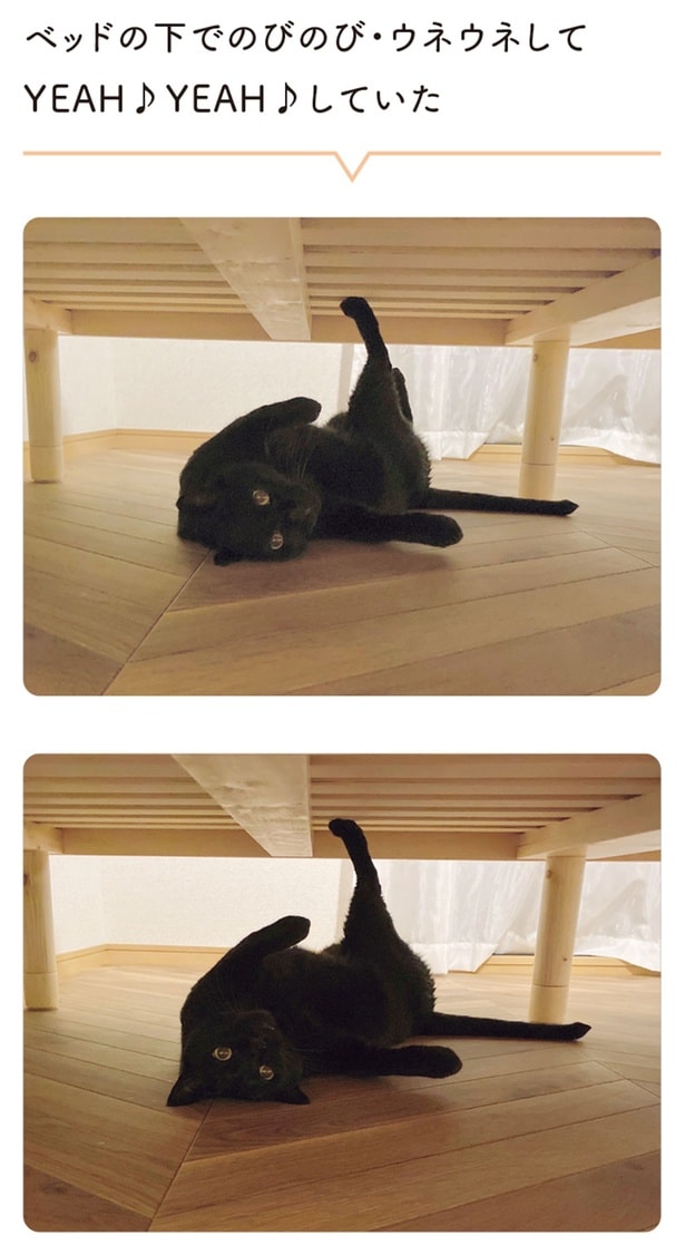 ベッドの下でのびのび・ウネウネしてYEAH YEAHしていた