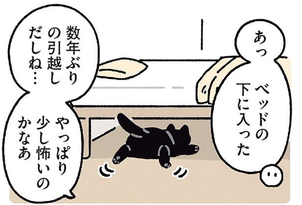 新居はどんな反応?引っ越し直後にベッド下へ潜り込んだ黒猫ろん