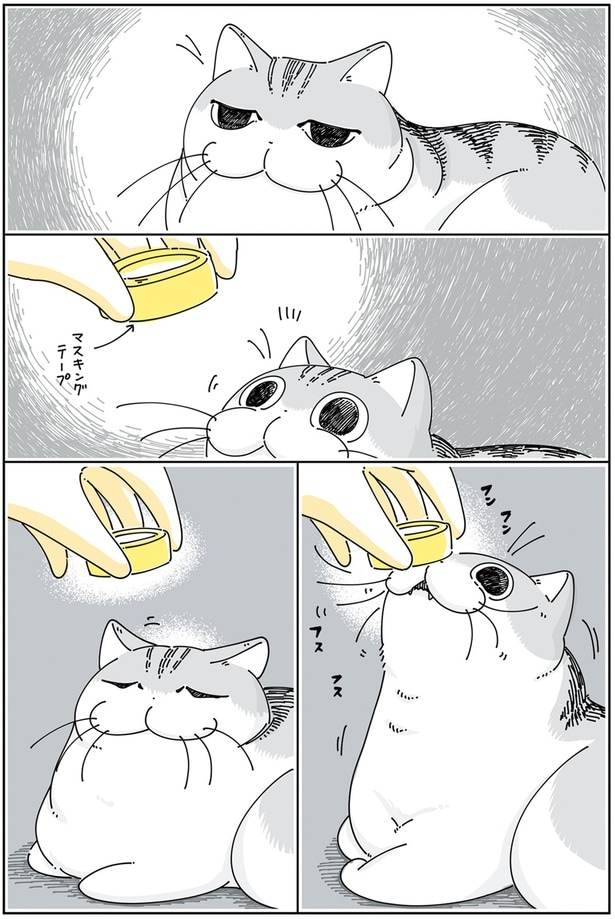 頭に何か乗せたい