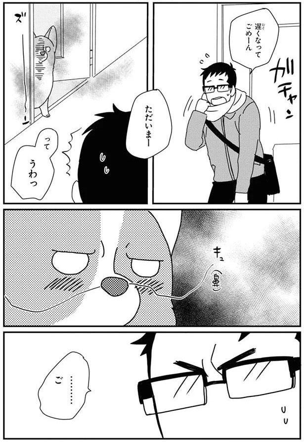 遅くなってごめーん