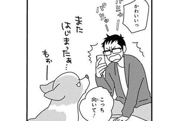 何をしてもうちの子はかわいい!定期的にやってくる犬飼いの発作