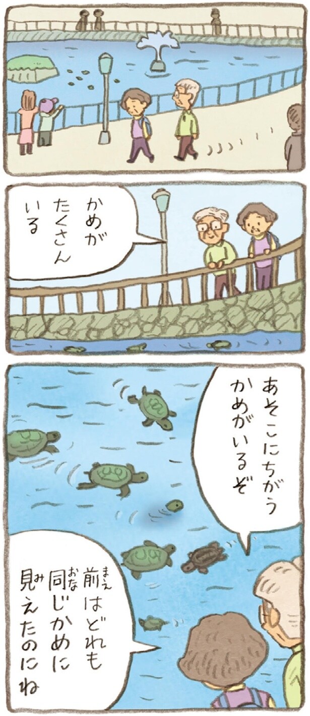 前はどれも同じかめに見えたのにね