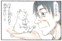 うちに来たのはきっと偶然じゃない。拾った子猫に聞きたいことはたくさんある