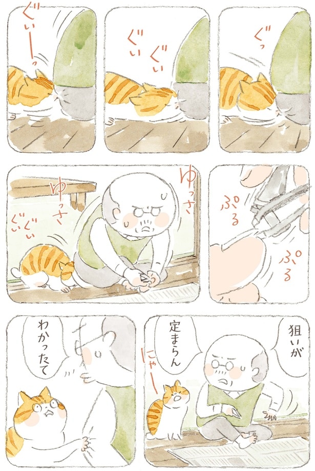 爪切りの邪魔をする猫