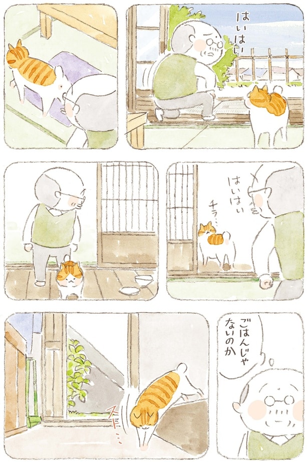 ごはんじゃないのか