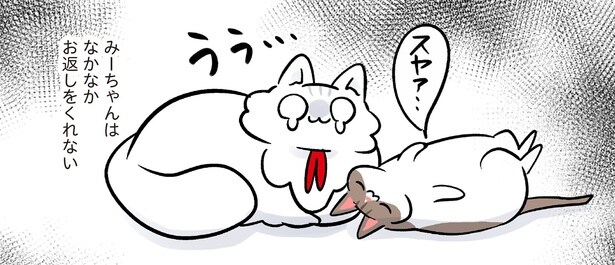 尽くすことが生きがいの猫。でも同じように愛は返してもらえない!