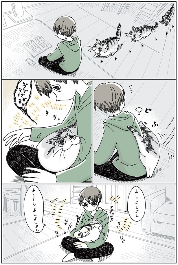 なでたところを気にするネコ