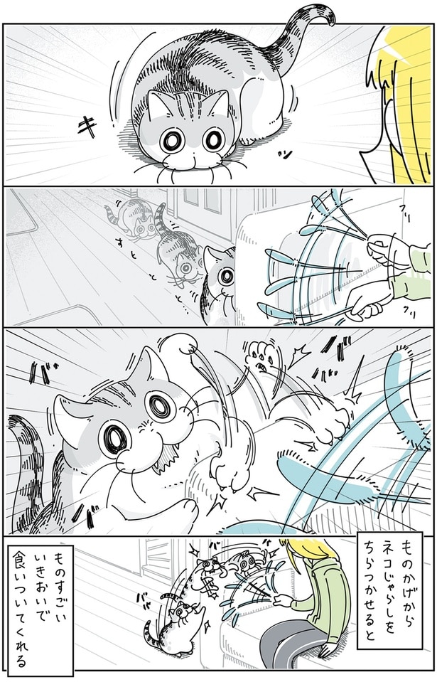 ものかげからちらつかせると