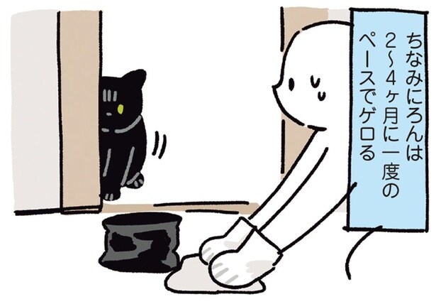 2～4ヶ月に一度のペースでゲロる