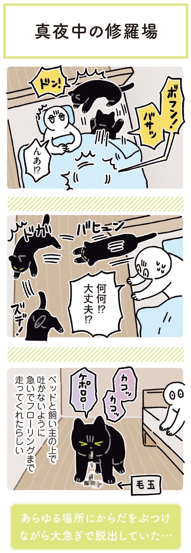 何何！？大丈夫！？