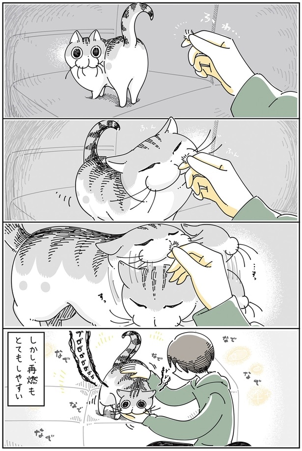 再燃もとてもしやすい