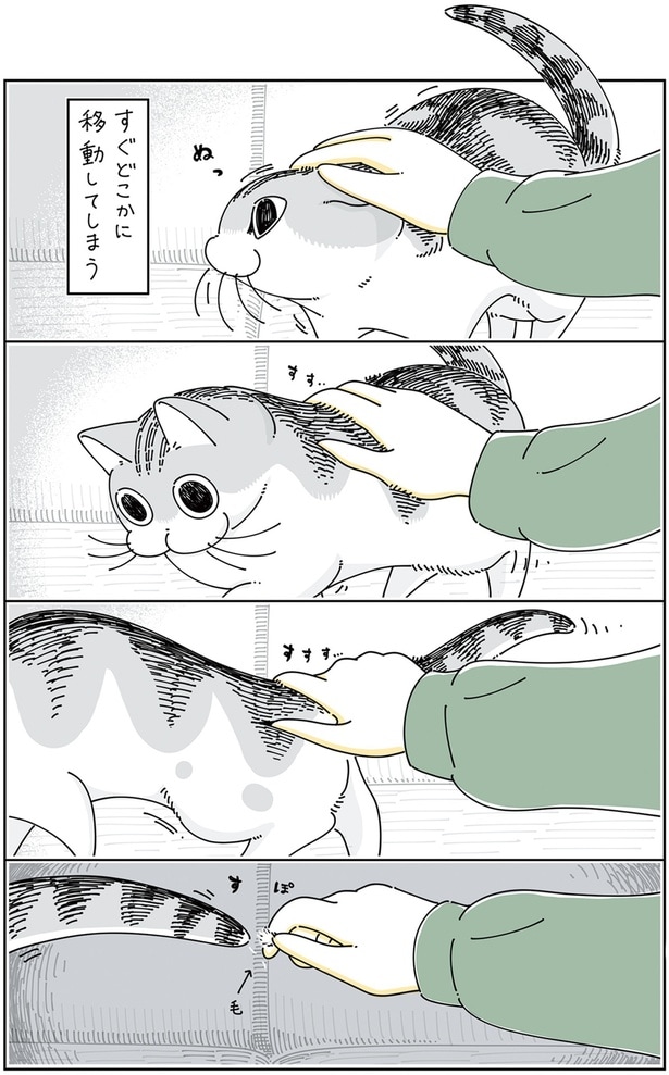 すぐどこかに移動してしまうけど…