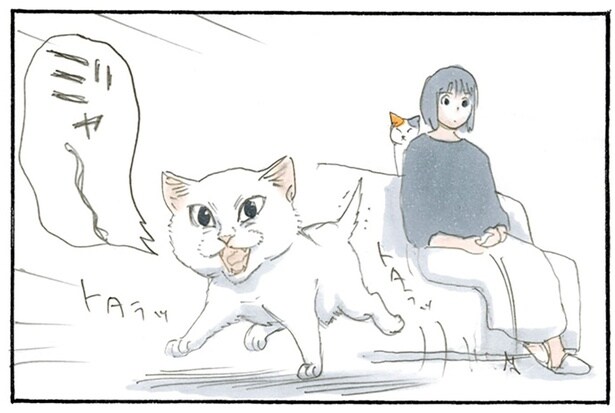 なんで分かるの？ 大好きなお父さんが帰って来るのを物音だけで判断した子猫