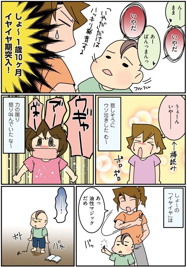 しょ〜イヤイヤ期