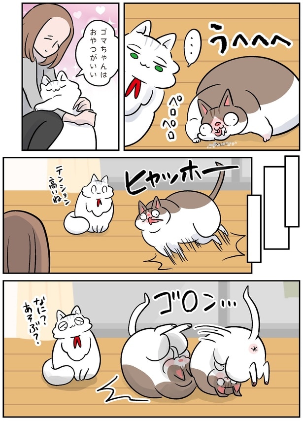 テンション高いね