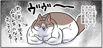 愛する娘のためにムキムキになって威嚇！屈強なモンペ猫の弱点
