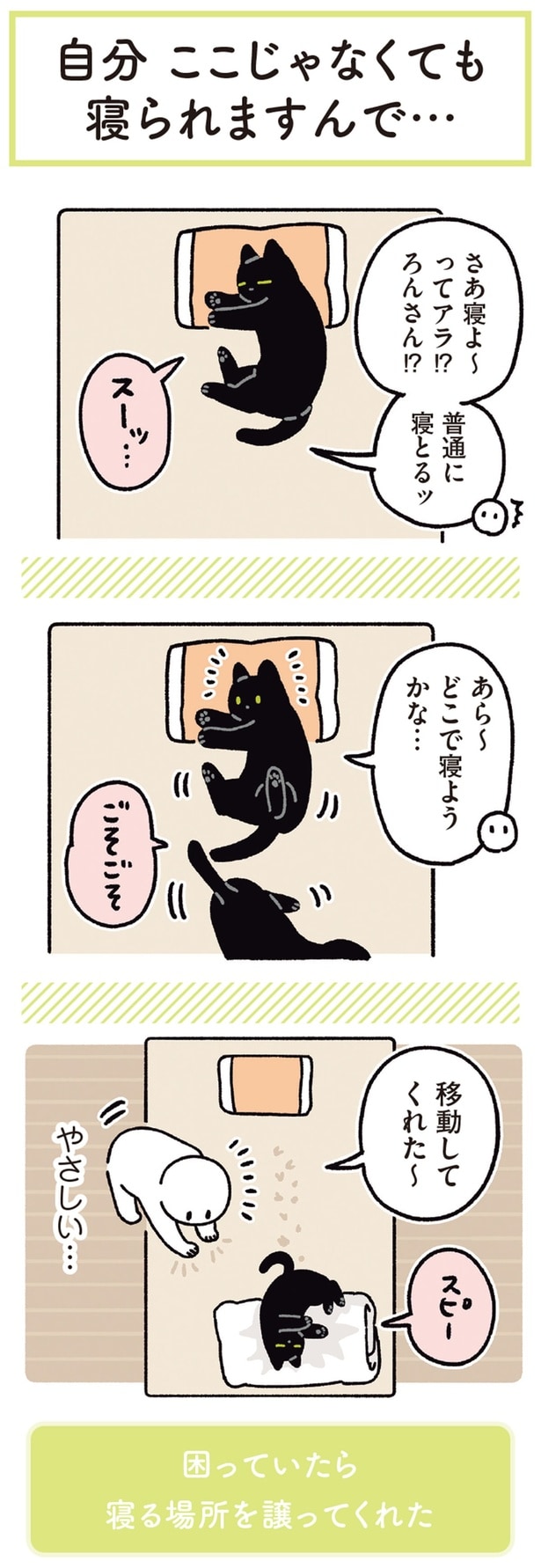 あら～　どこで寝ようかな…